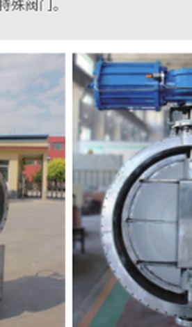 Special Valves reference